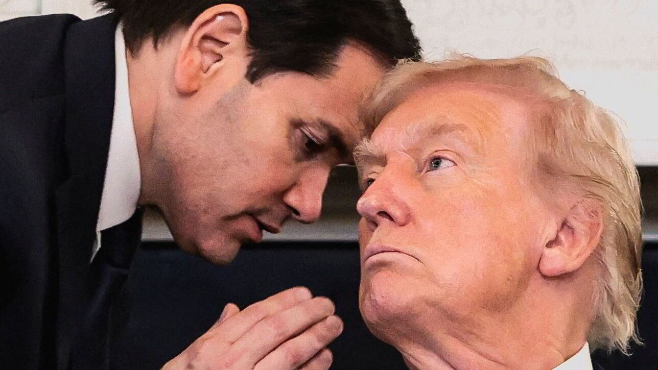 Freds-Trump må dyrkes for hva han er verd
