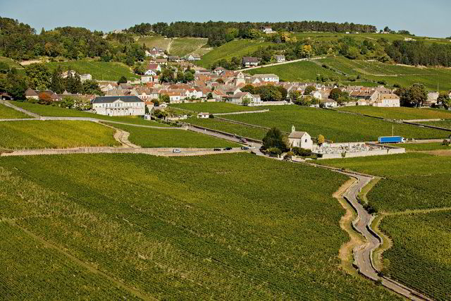 Fra landsbyen Volnay i Burgund kommer noen av de mest forbløffende vinene fra den legendariske 2015-årgangen.