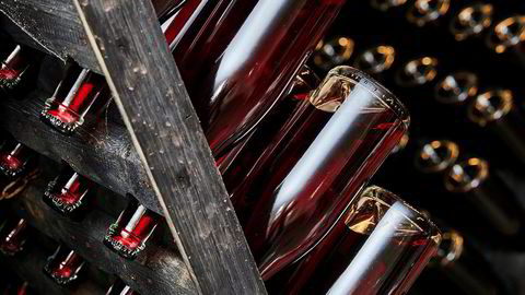 Bobler. 1200 flasker musserende bringebærvin – som står til ettergjæring etter å ha blitt tappet på flaske – må snus hver eneste dag i stativene inne i det tidligere grisehuset.