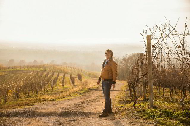 Den legendariske vinmakeren Roberto Conterno i vinmarkene på Nervi i Piemonte.