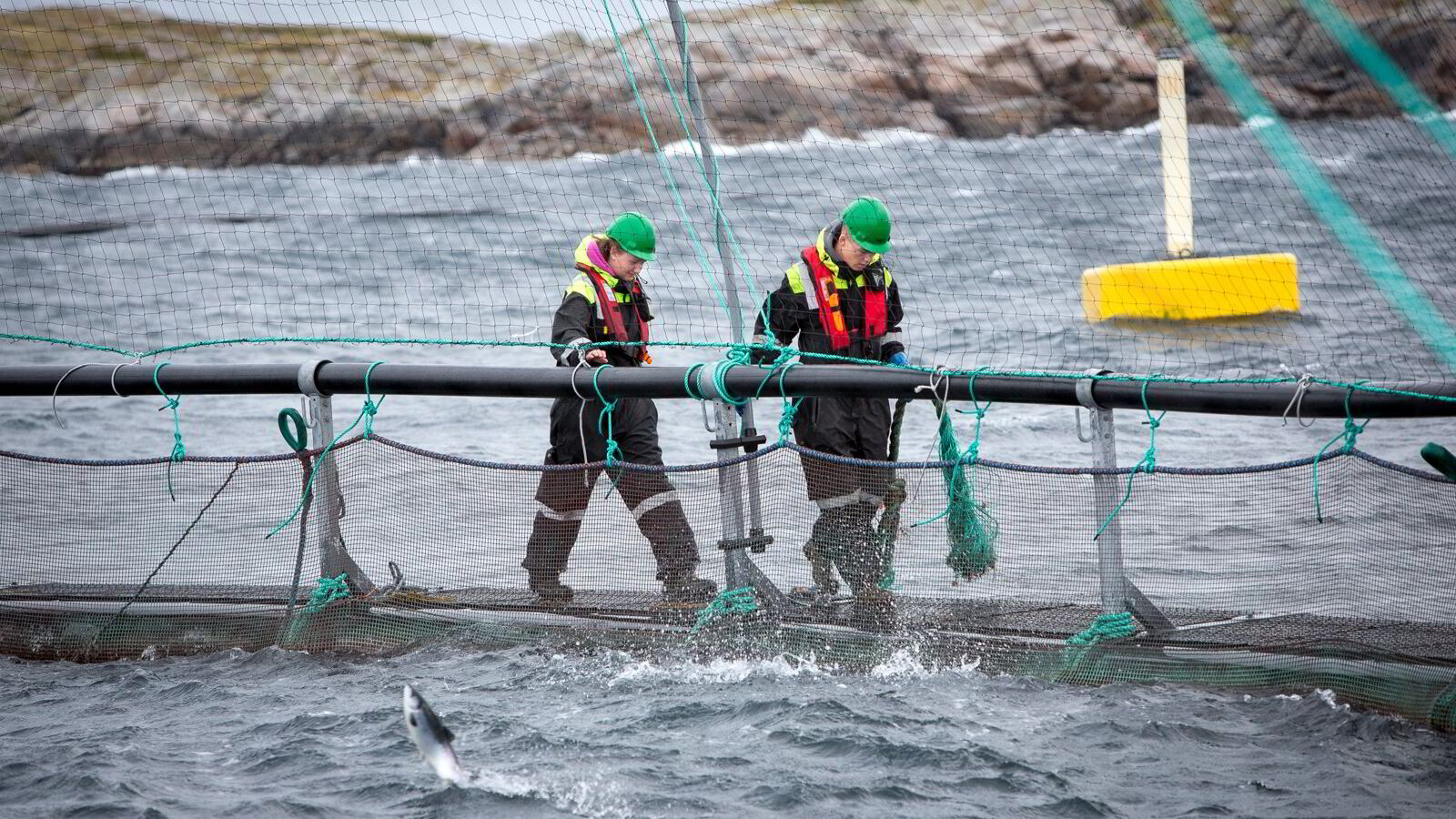 Lakseskatten forsvant