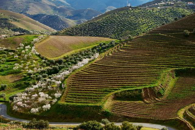 Douro-dalen bukter seg i takt med elven og vinmarkene.