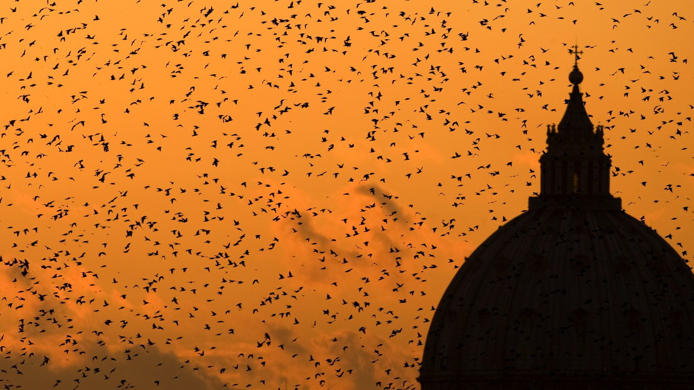 Tek-fyrsten mot paven