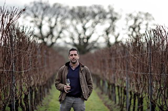 Charlie Holland på vingården Gusbourne i Appledore i Kent. Produksjonen av musserende vin har tatt av i det sørlige England, og særlig i Kent og Sussex, og konkurrerer nå mot fransk musserende.