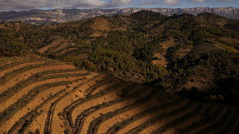 Her lages noen av Spanias mest eksklusive viner