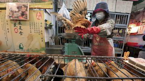 Kinesernes tradisjon med å slakte dyr på åpne markeder øker risikoen for smittespredning fra dyr til mennesker.