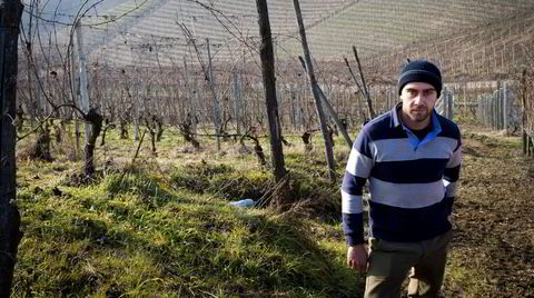 Vinprodusent Luca Roagna i sine vinmarker i Barbaresco i 2011.