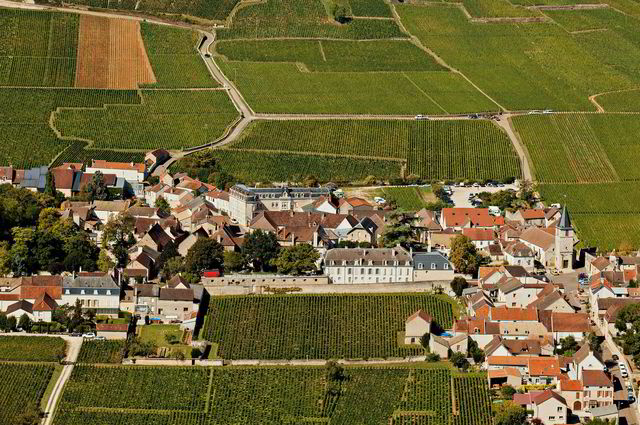 Rundt landsbyen Vosne-Romanée i Burgund lages verdens dyreste viner basert på druen pinot noir.