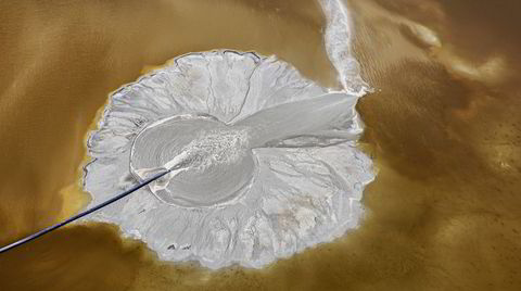 Han fotograferer jordkloden fra helikopter og droner:  – Jeg frykter at vi mister kontroll