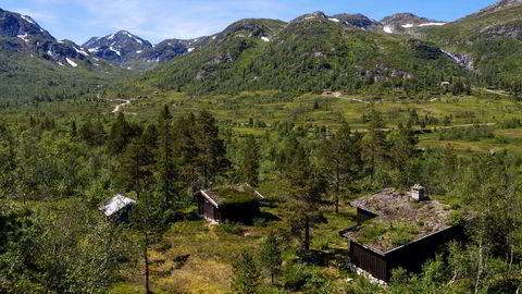 «Nystøyl» er et av to hyttetun som inngår i fjelleiendommen i Telemark, som brødrene Gunnar Frederik og Olav Hindahl Selvaag ga 11 millioner kroner for i august.