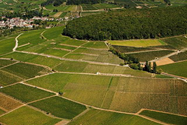 Vinmarkene rundt landsbyen Pernand-Vergelesse i skyggen av Corton-høyden gir noen av de beste hvitvinskjøpene i Burgund når man tar pris i betraktning.