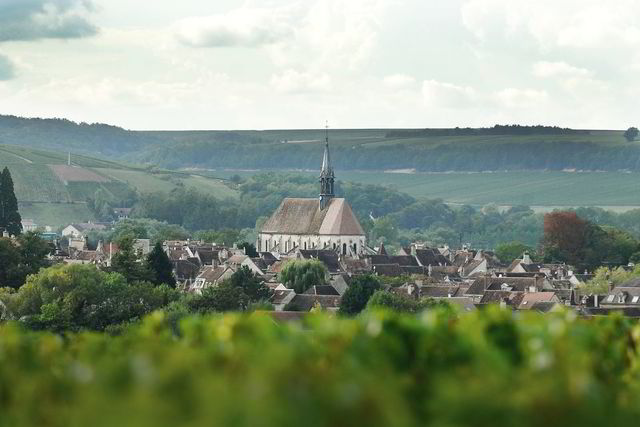 Chablis med sine vinmarker Foto: Helge Hansen