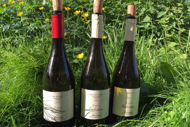 Romain Guiberteaus viner er nå tilgjengelige i Norge for første gang.