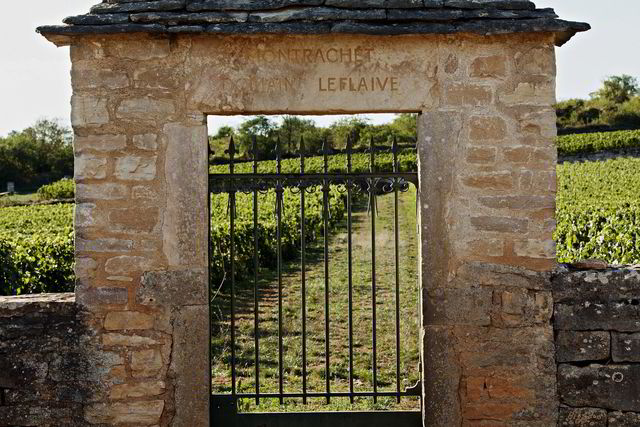 Porten til det aller helligste. Inngangen til Domaine Leflaives parsell i montrachet. Foto: Sune Eriksen.