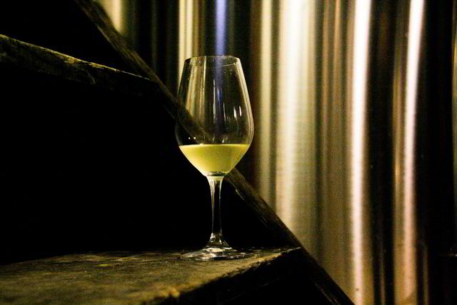 Spania lager stadig bedre hvite viner. Foto: Merete Bø