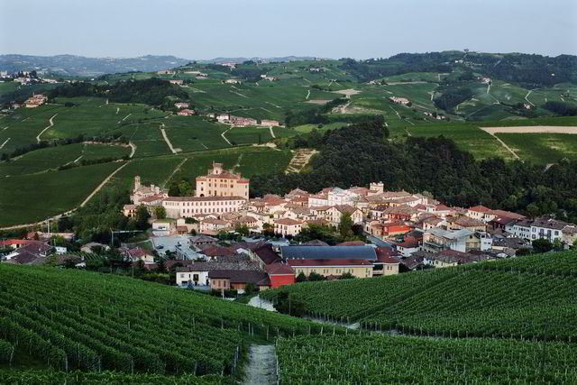 Barolo landsby omgitt av sine berømte vinmarker. Foto: Sune Eriksen.