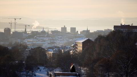 Spotpris til husholdninger og bedrifter betyr gir lave priser store deler av året og ekstreme pristopper i andre perioder, ifølge skribenten.