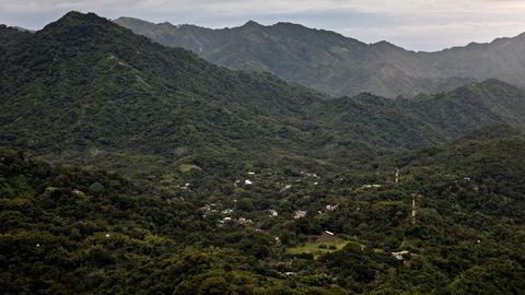 En investorallianse som representerer 8000 milliarder dollar, forplikter seg til å sikre innen 2025 at selskapene vi er medeiere i, ikke bidrar til avskoging, skriver artikkelforfatterne. Illustrasjonsfoto fra Colombia, nær Sierra Nevada-fjellene.