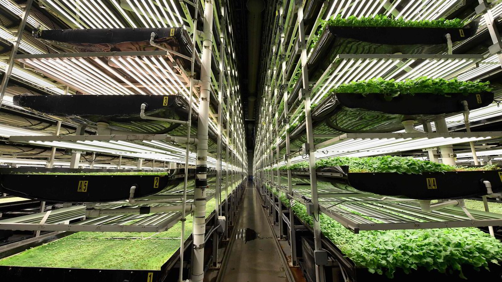 Dyrking i fjøs og gruver kan gjøre oss mer selvforsynt med mat