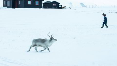 Svenske og danske nasjonalparker har tre-fire ganger så mye penger og personell som i Norge, skriver Øystein Aas. Bildet er fra Svalbard.