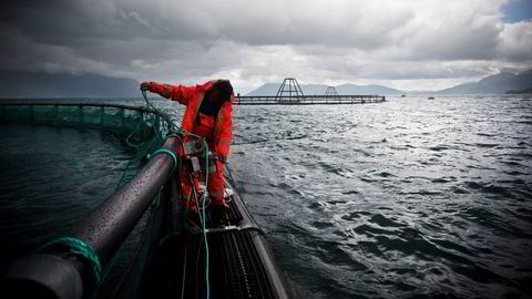 Bedre smittesikring og mer skånsomme metoder for kontroll med lakselus er de viktigste forbedringsområdene for næringen, skriver Øyvind Oaland.