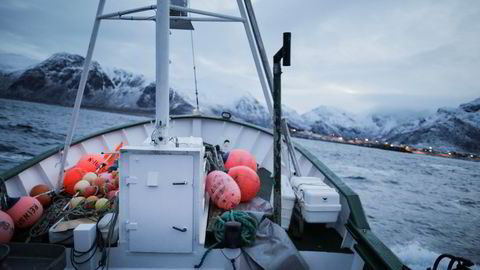 Du kan spise 25 torskemiddager for hver biff, og makrell og sild har enda lavere klimagassutslipp per kilo, skriver artikkelforfatterne.