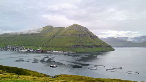 Fôrfabrikken Havsbrun ligger i Fuglarfjord på Færøyene. I forgrunnen er et av Bakkafrosts oppdrettsanlegg.