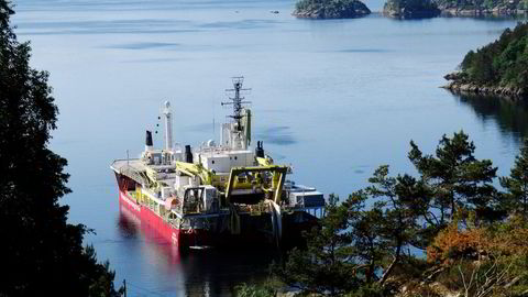 Fremtiden er elektrisk: Her legger et Nexans-skip kraftkabelen Nordlink fra Norge til Tyskland. Det skal det bli mer av, på bekostning av rene olje- og gasskabler.