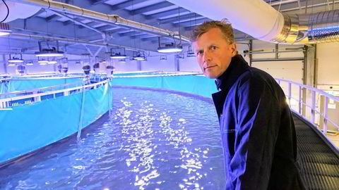 Bernt Olav Røttingsnes er konsernsjef i Nordic Aquafarms, som blant annet eier Fredrikstad Seafood. Her i anlegget i Fredrikstad vurderer nå selskapet å produsere yellowtail kingfish.