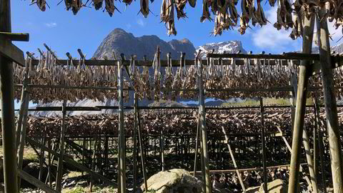 Lofoten, her representert ved tettstedet Reine, kan bli det første områder der en turistskatt, eller besøksavgift som den nye regjeringen velger å kalle det, blir testet ut.