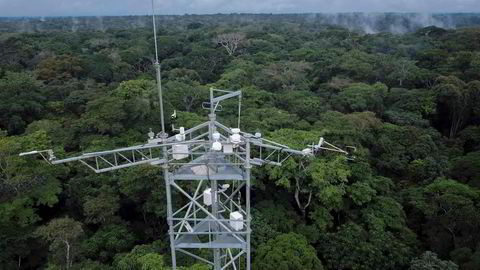 Den samfunnsøkonomiske verdien av å verne regnskog er enda høyere enn verdien av oljen i bakken, skriver artikkelforfatteren. I Yangambi-skogen nordøst i Kongo måles hvor mye karbon som absorberes.