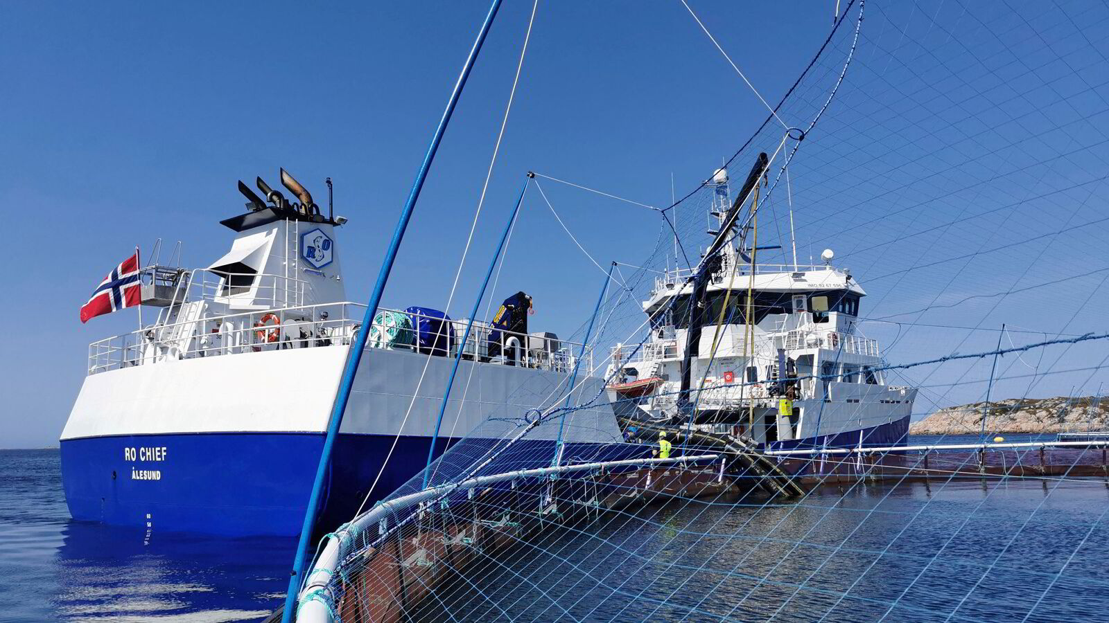 Norcod anslår at 23.000 fisk har rømt: – En alvorlig hendelse