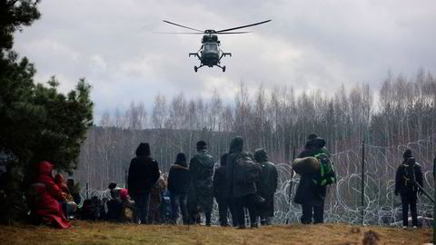 Migranter ved grensen mellom Polen og Hviterussland i Grodno-regionen forsøker å ta seg gjennom piggtrådsperringen.