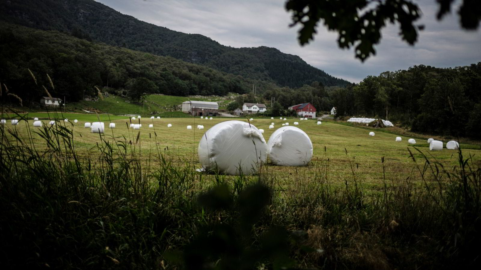 Levekår og lønnsomhet viktigere enn inntektsmål for bønder