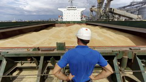 Fraktskip fullt av ukrainsk hvete ved Nikolaev-porten i Ukraina i 2016. Mesteparten av denne eksporten er nå stanset.