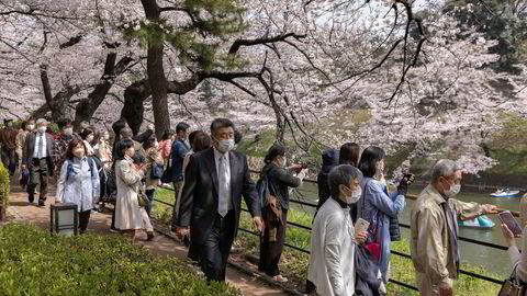 Optimismen stiger i den japanske økonomien ved inngangen til et nytt kvartal og avslutningen av det avvikende regnskapsåret. I Tokyo er den årlige kirsebærblomstringen er i gang.