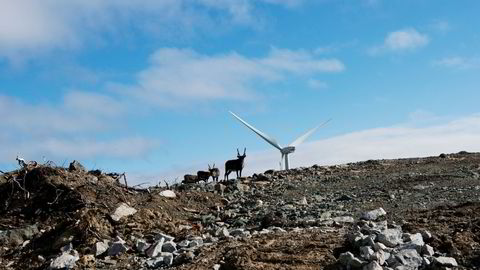 Elektrifisering av olje- og gassplattformer kan vere ei bestilling på tusenvis av nye vindmøller, som vil komme i konflikt med naturvern, skriv artikkelforfattaren.