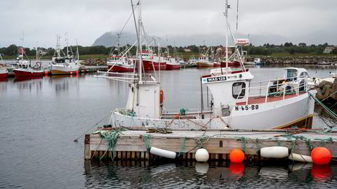 Effektivisering må til om det skal bli grunnlag for grunnrenteskatt i fiske: færre og større enheter i kystflåten og færre havgående fartøy, skriver Audun Maråk.