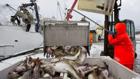 Bærekraftige, norske fiskerier er et resultat av at fiskere, politikere, byråkrater og fagfolk har samarbeidet for å finne bedre løsninger, skriver Sigbjørn Landazuri Tveteraas.