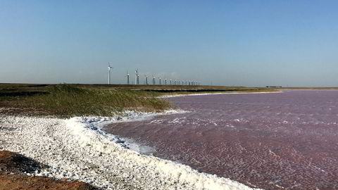 Emergy har store problemer med sin første vindpark ved Syvash-sjøen i Ukraina, (bildet). Nå legges ambisjonen om utbygging av Europas største vindpark på is.