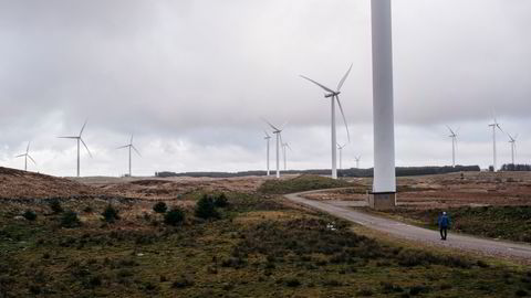 Ikke bare selve utbyggingsområdet blir rasert av veier og turbiner, men også områder utenfor, med nye kraftledninger og tilførselsveier, skriver artikkelforfatteren. Bildet er fra Høg-Jæren energipark, med 32 turbiner.