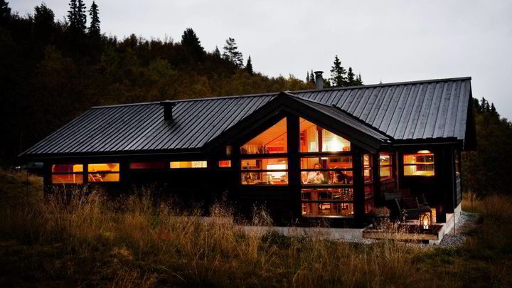 Elsket Av Akademikere Dn