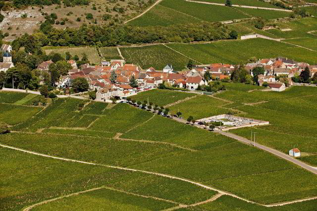 Landsbyen Chambolle-Musigny omkranset av noen av verdens mest berømte og kostbare vinmarker.