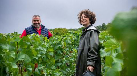 Benoît og Mélanie Tarlant lager fremragende vin i Marne-dalen i Champagne.