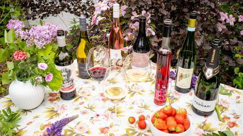 DN har testet syv viner som passer perfekt til sommerfesten.