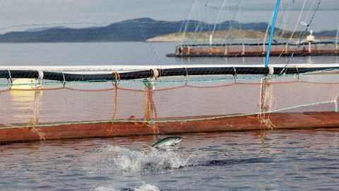 Lerøy Seafood-aksjen steg ni prosent torsdag. Her fra Lerøys anlegg ved Hitra.