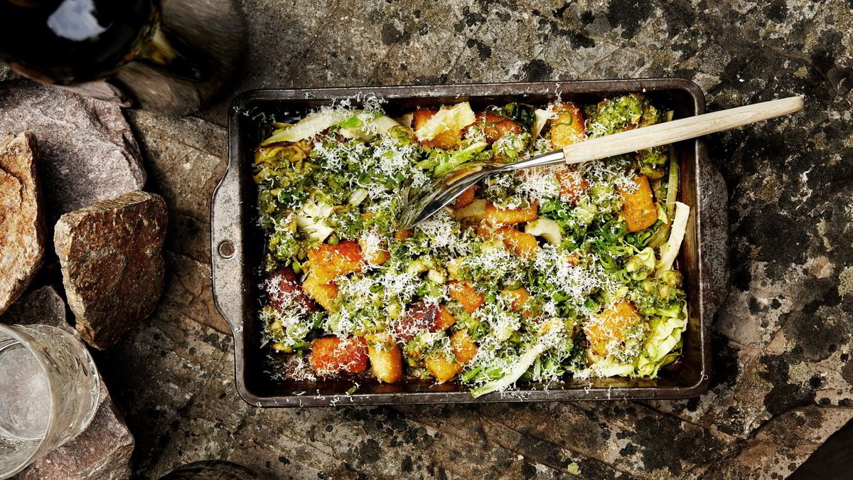Hanne Rutgersons oppskrift på gnocchi med pesto og nykål (+) DN