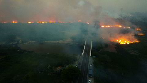 Enorme skogbranner herjer i Pantanal-regionen i Brasil.