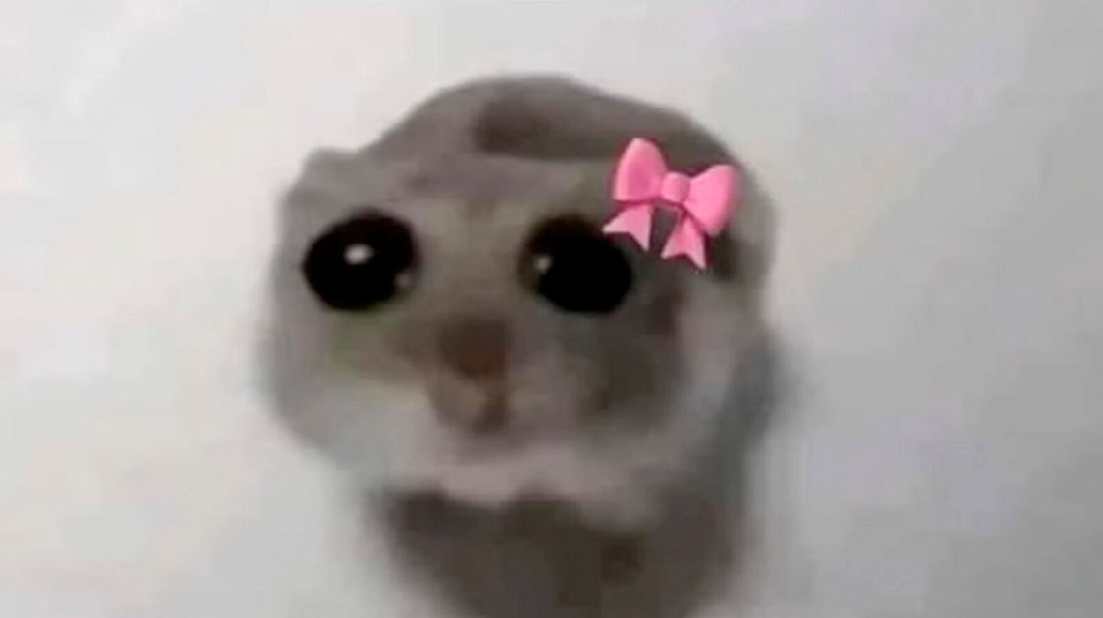 Nå vil popstjerner, karriere­kvinner og bestemødre være «bare en jente»