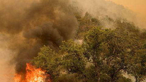 Brannfolk gjør sitt ytterste i møtet med flammene og røyken i Carmel Valley. Omfanget og spredningen på brannene har ført til akutt mangel på brannmannskap.